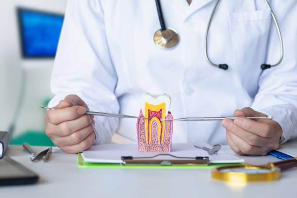 Best Holiday Emergency Dentist in Steger, IL